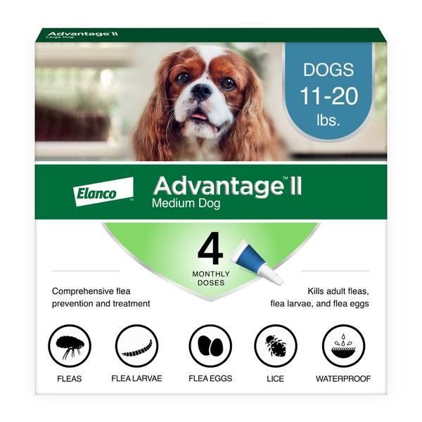 Bayer Advantage II Once A Month Topical Flea Treatment For Dogs, 11 To ...