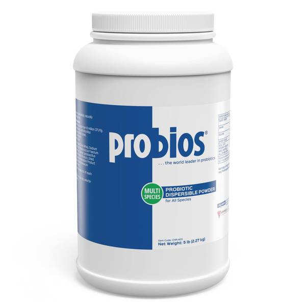 Photo of Dispersible Powder Probiotic Supplement 240gm