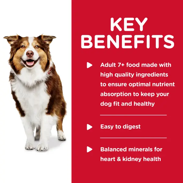 beef fresh dog food FreshMade Beefy-Licious: Fresh Dog Food, Gently Cooked & 100% Human Grade
