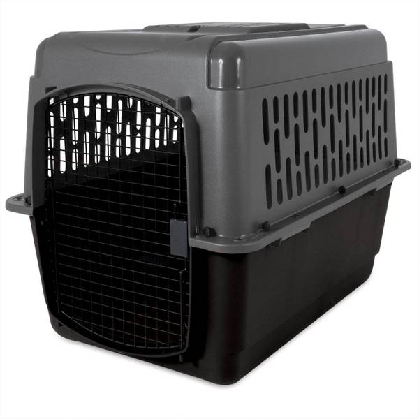 UPC 029695211836 product image for Aspen Pet 28