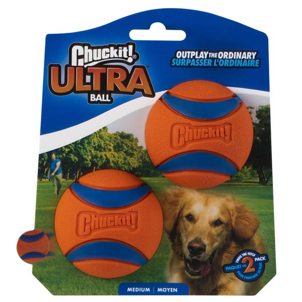 Dog Toys - Buy Best Toy Online