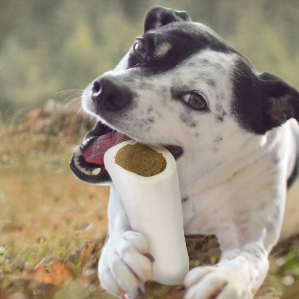 cadet stuffed shin bone safe