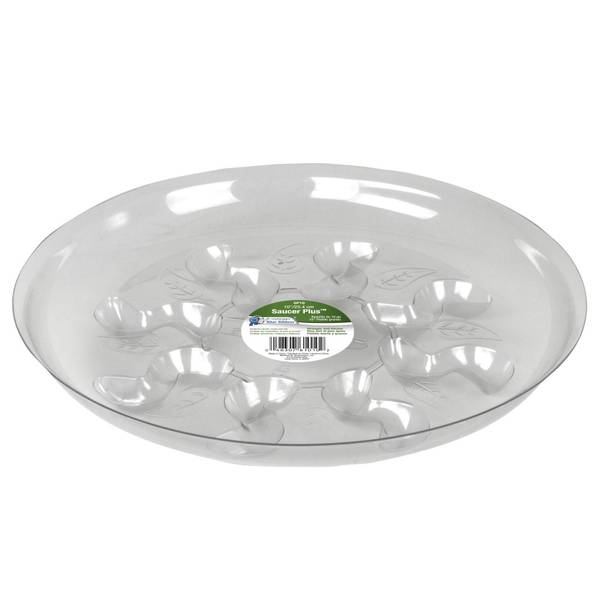 Photo of Clear Plastic Plant Saucer