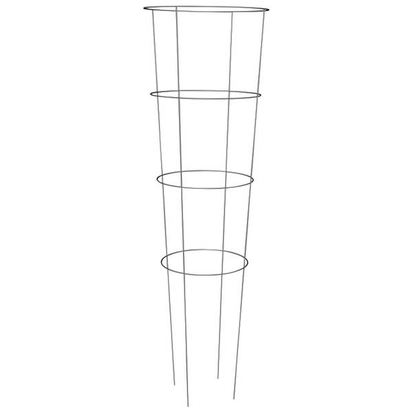Photo of Galvanized Tomato Cage