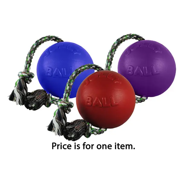 Push-n-Play  Durable Dog Toy - Jolly Pets
