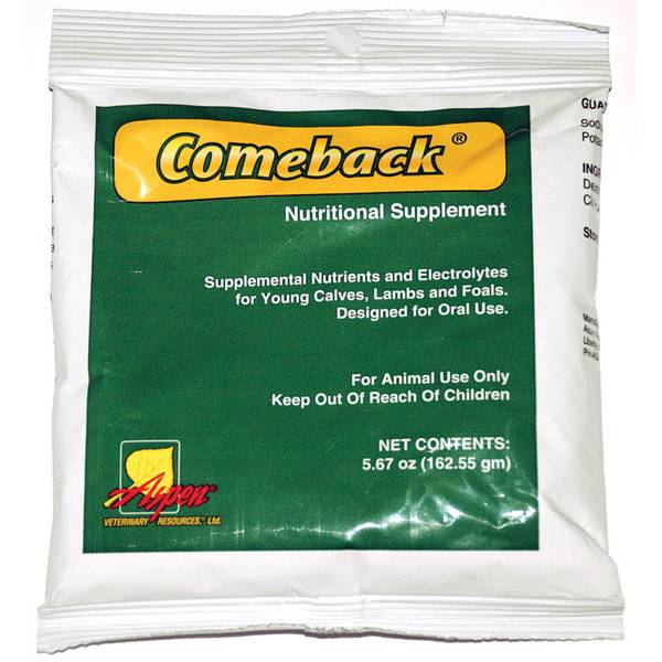 Photo of Comeback Electrolyte
