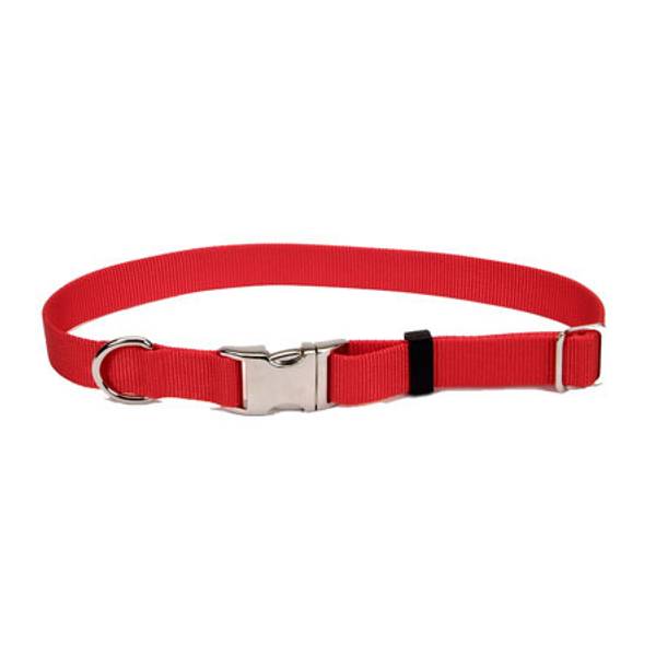 Coastal dog hotsell collars metal buckle