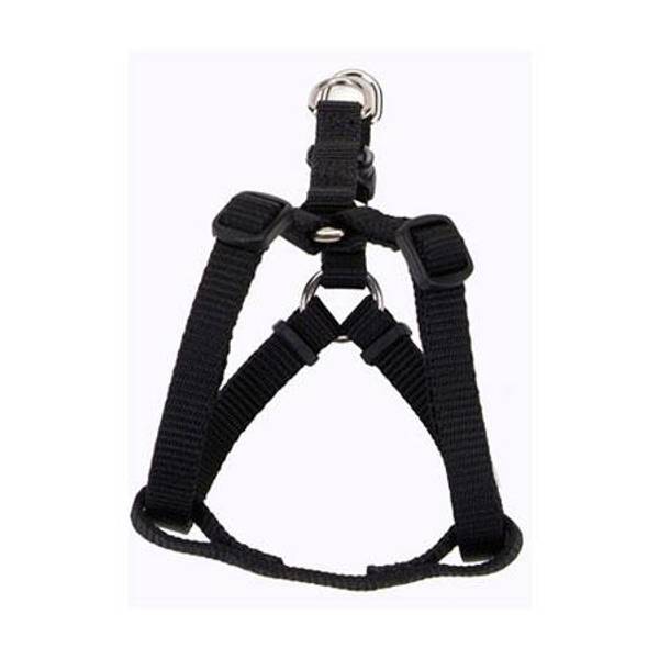 Coastal comfort wrap discount harness