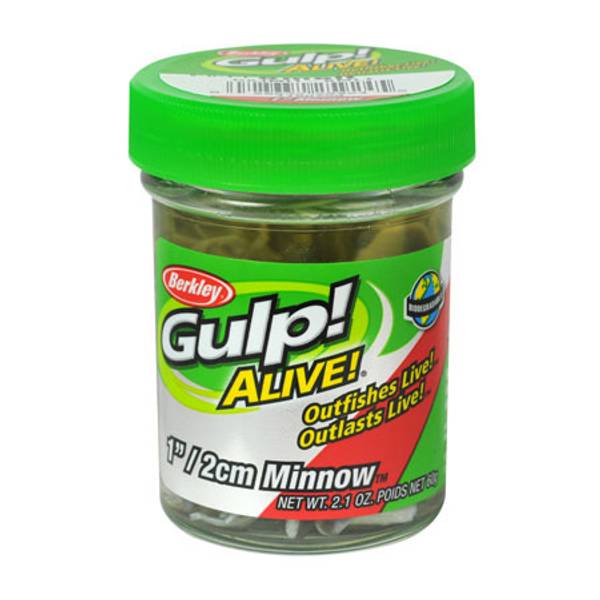 Gulp Minnow Fishing Bait, Gold Leaf, 3in, Extreme Scent Dispersion,  Realistic Minnow Profile, Ideal For Bass, Trout, Walleye, Panfish And More