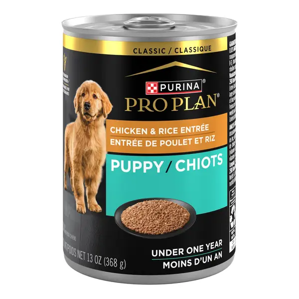 Purina Pro Plan FOCUS Chicken & Rice Entree Wet Puppy Food, Real