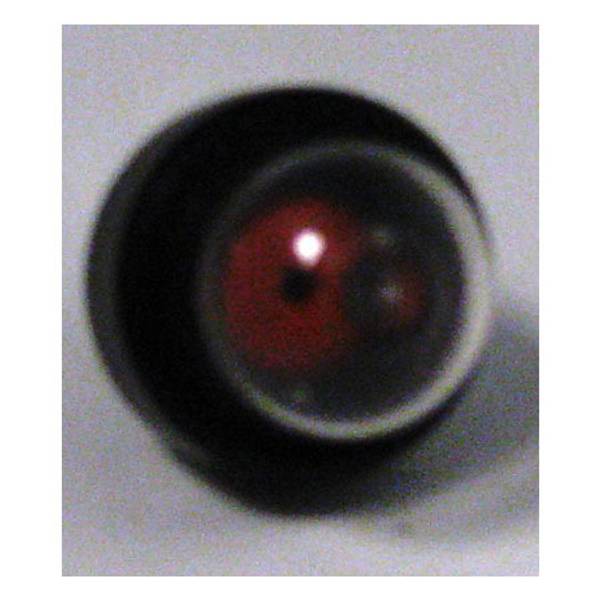 Photo of Primer Bulb