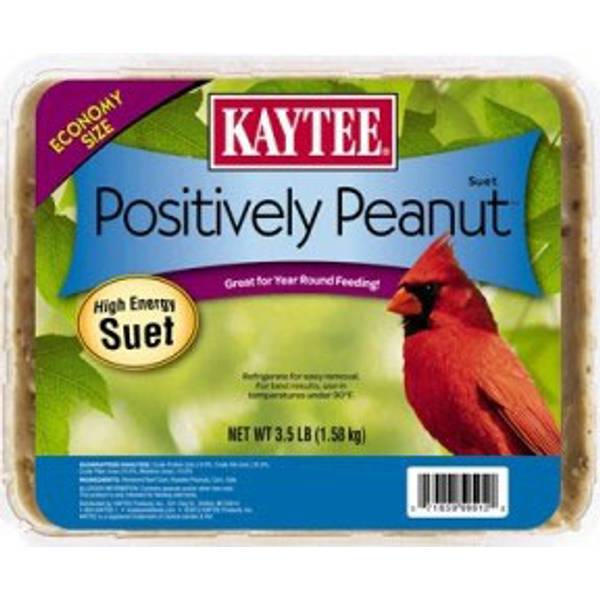 Kaytee 11 oz Positively Peanut High Energy Suet Cake, 3.5 lb 100214458 Blain's Farm & Fleet