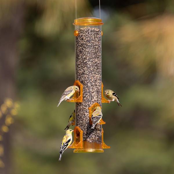 More Birds Jumbo Tube Finch Feeder, 6.18