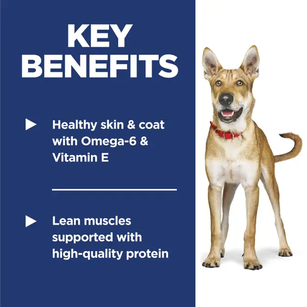 science diet advanced fitness dog food