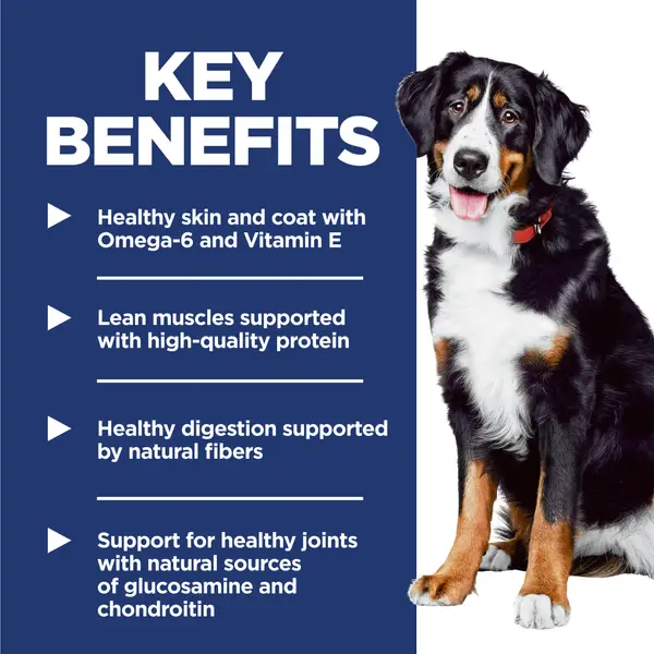 hill's science diet adult large breed