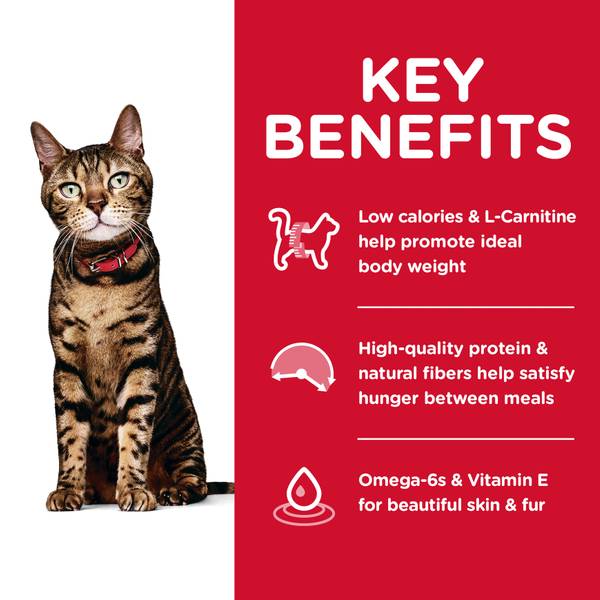 cat l carnitine Hill's Science Diet Adult Light Chicken Recipe Dry Cat Food, Ideal Body  Weight Support - 2047