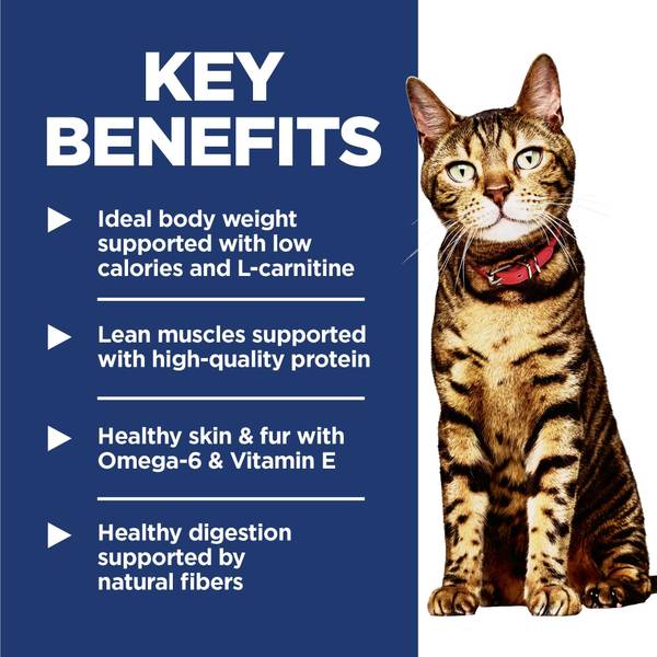 l carnitine benefits for cats Hill's Science Diet Adult Light Chicken Recipe Dry Cat Food, Ideal Body Weight Support - 2047 Pack:6 Bottles Glutathione is a potent Filter:Concern:Calming