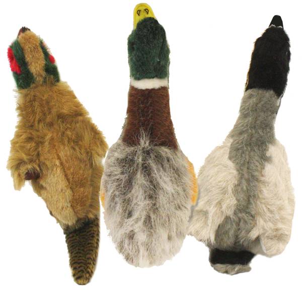 Photo of Medium Migrators Assortment