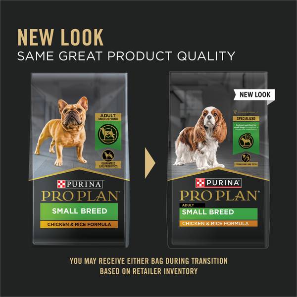 Purina Pro Plan Focus Small Breed Adult Dry Dog Food, 6 lb, High-Protein -  199-164-15 | Blain's Farm & Fleet