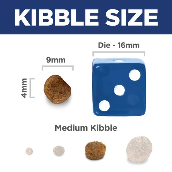 science diet active longevity small bites