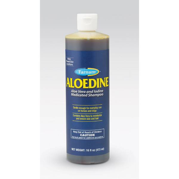 Photo of Aloedine Shampoo