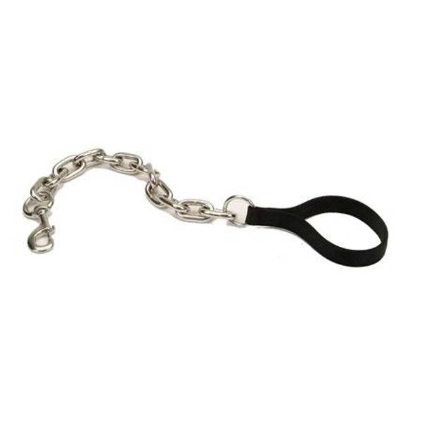 chain dog leash