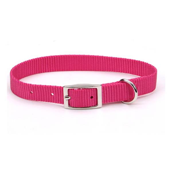 Coastal Pet Pink Flamingo Nylon Collar