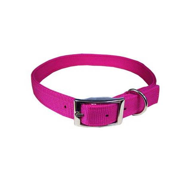Photo of Double-Ply Nylon Dog Collar