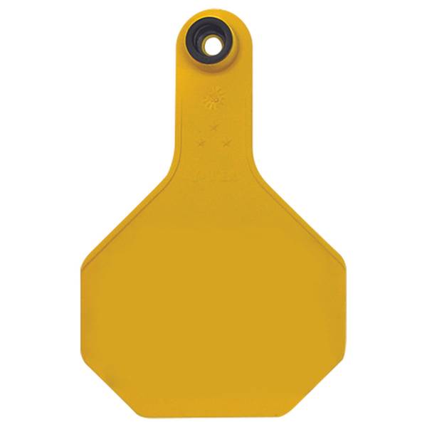 Photo of 25-Pack All American Medium Orange Blank Ear Tags