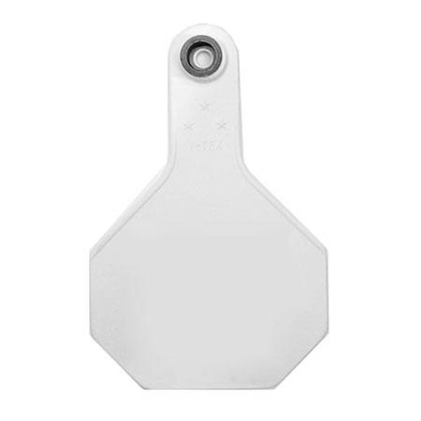 Photo of 25-Pack All American Medium Orange Blank Ear Tags