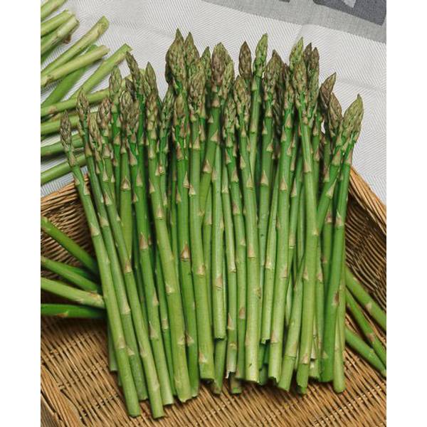 Longfield Gardens Asparagus Mary Washington Plant 62202010 Blain's