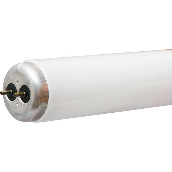 48 inch deals t12 led bulbs