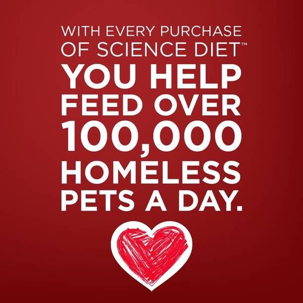 science diet jerky mini strips