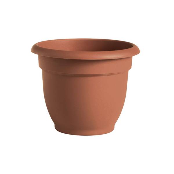 Photo of 6" Ariana Planter