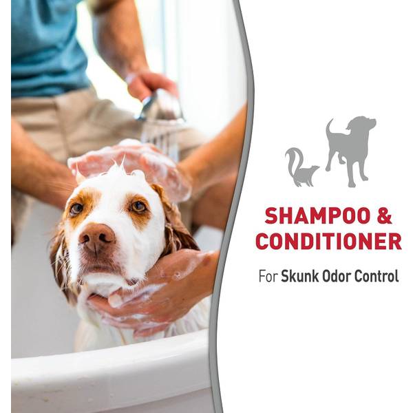 Spray Best Way To Get Skunk Out Of Dog Get Rid Of Best Way To Get