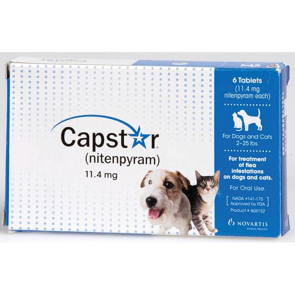 capstar flea medicine