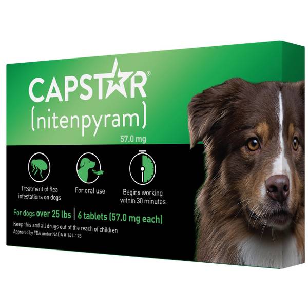 Side effects of oral flea and tick medication for dogs cheap