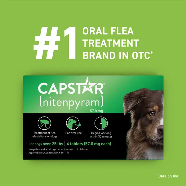 Novartis capstar flea tablets for dogs and cats best sale