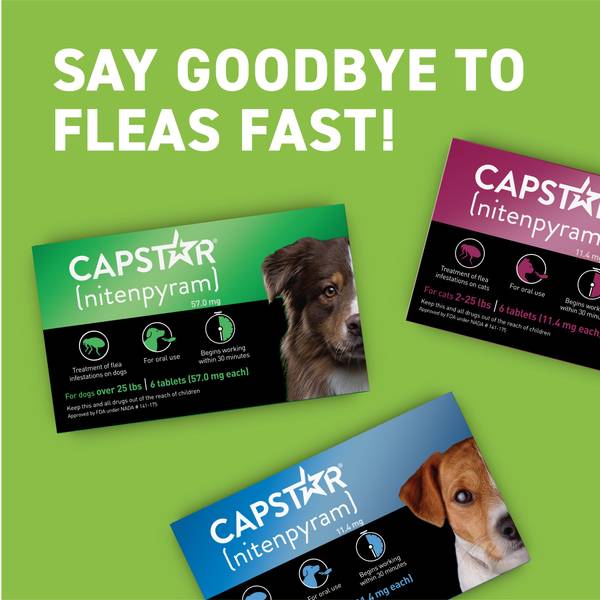 Capstar 6 Count Oral Flea Treatment for Dogs Over 25 lb. 08930A