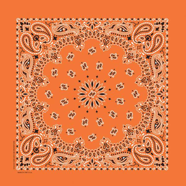 Photo of Paisley Printed Bandanas 2-Pack