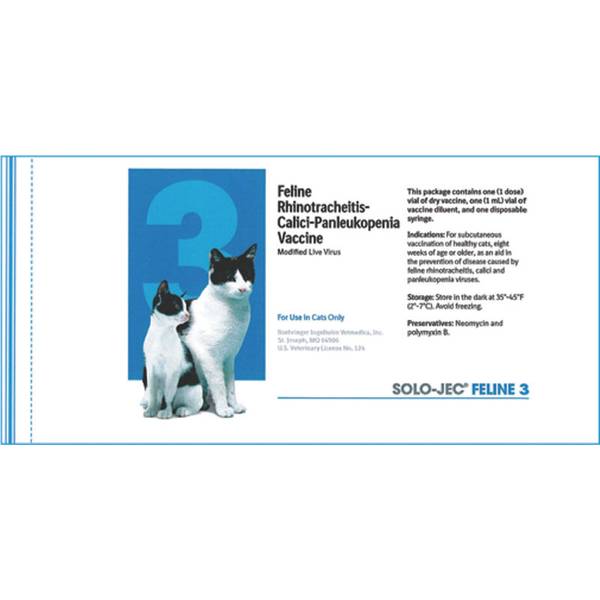 feline rhinotracheitis calici panleukopenia vaccine