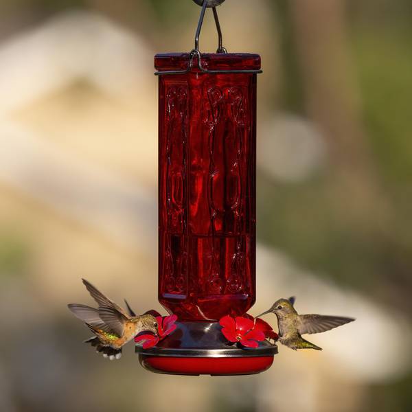 rubbermaid hummingbird feeder