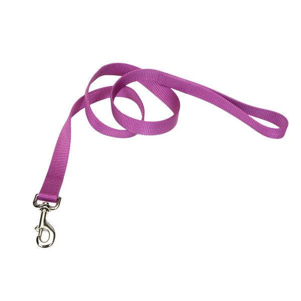 Photo of Nylon Dog Lead