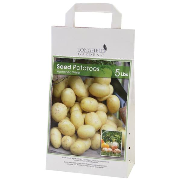 Longfield Gardens Superior Potato Bulbs 62201258 Blain's Farm & Fleet
