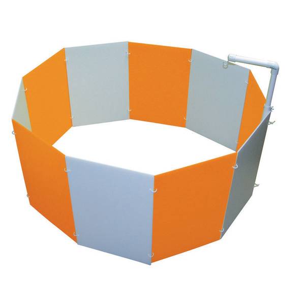 Photo of Baby Chick Starter Home