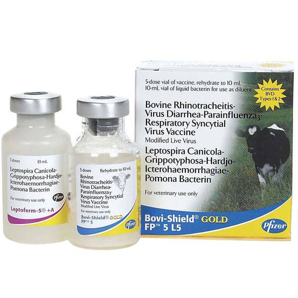 Bovi Shield Gold 5 L5 Bovine Rhinotracheitis Virus Diarrhea Parainfluenza Respiratory Syncytial Virus Vaccine 18594652 Blain S Farm Fleet