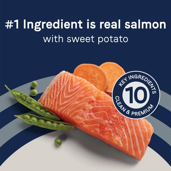 canidae grain free pure sea salmon dry dog food