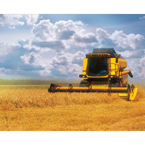 トランプ orange orange A&H Vessels | AH Vessels | 5'8” Fangorn Twin (Regular Foot