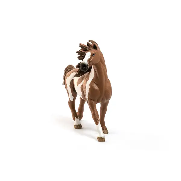 SCHLEICH 13794 ETALON PINTO