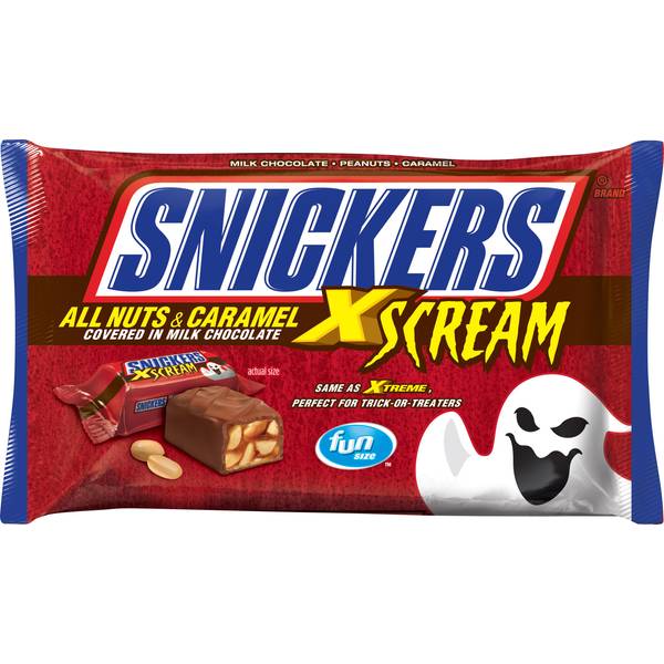 UPC 040000500162 product image for Snickers 10.5 oz XScream Fun Size Pack | upcitemdb.com